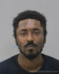 Mugshot of MANIK TREMON NICHOLAS