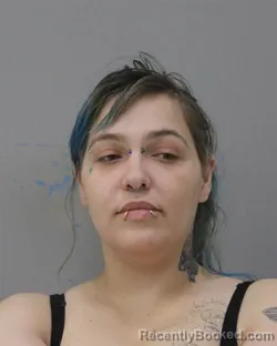 Mugshot of BRITTANY FARMER