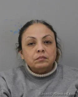 Mugshot of SUANY IRINA REYES ZELAYA