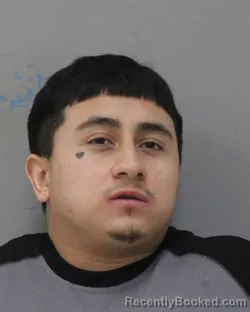 Mugshot of JOSE FERNANDO LARA SANCHEZ