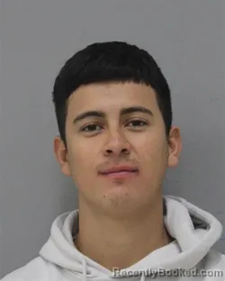 Mugshot of DUANYS BARAHONA CASTRO