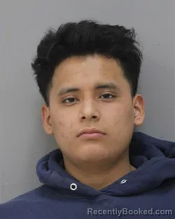 Mugshot of HECTOR NOEL CHU SIS