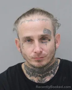 Mugshot of STEVEN WAYNE VIERS