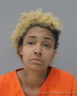 Mugshot of KUDIJA LASHAWN JOHNSON booked in Charles City County, Virginia on March 5, 2026