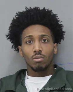 Mugshot of DEVONTA TYQUAN LYONS