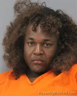 Mugshot of KELLI MONIQUE PERRY booked in Charles City County, Virginia on March 5, 2026