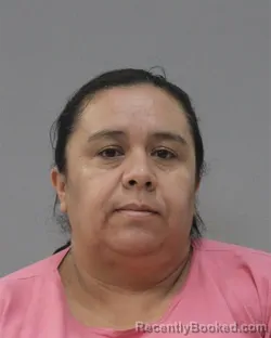 Mugshot of REYNA SUYAPA HERNANDEZ VALLADARES booked in Charles City County, Virginia on March 10, 2026