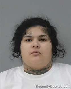 Mugshot of JAIME CRUZ MELGAR booked in Charles City County, Virginia on March 12, 2026