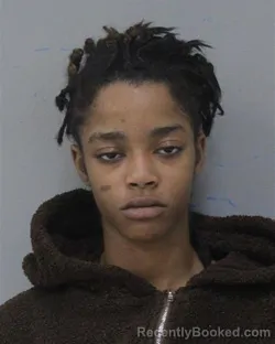 Mugshot of LYNIAH ANN JOHNSON booked in Charles City County, Virginia on March 17, 2026