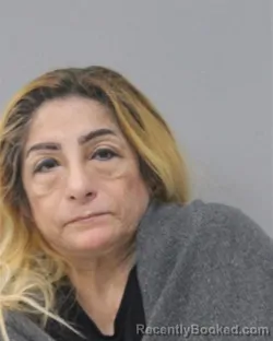 Mugshot of SILVA VERA BRIONES booked in Charles City County, Virginia on March 17, 2026