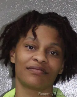 Mugshot of DANASIA E GOMEZ booked in Charles City County, Virginia on March 20, 2026