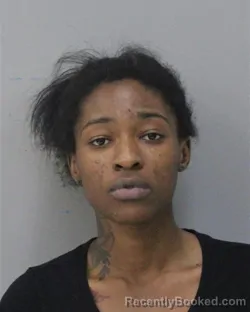 Mugshot of SINOYAH MUDZWOVA booked in Charles City County, Virginia on March 24, 2026