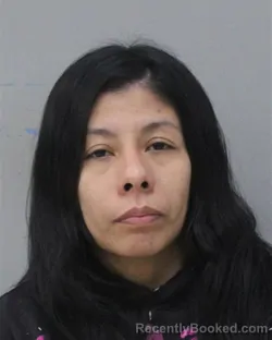 Mugshot of ANAHI TORRES BACILIO booked in Charles City County, Virginia on March 24, 2026