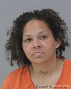 Mugshot of DIANDRA LASHA TAYLOR booked in Charles City County, Virginia on March 25, 2026