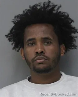 Mugshot of TSEGA LEMESSA DESTA booked in Charles City County, Virginia on March 26, 2026