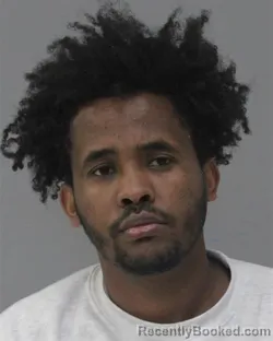 Mugshot of TSEGA LEMESSA DESTA booked in Charles City County, Virginia on March 28, 2026