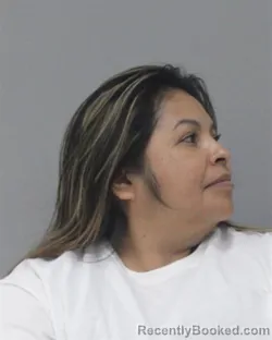 Mugshot of KARLA MENDEZ DE VILLALTA booked in Charles City County, Virginia on March 28, 2026