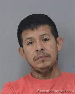 Mugshot of FABIAN LEON LEON