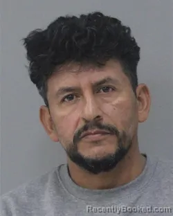 Mugshot of NOE BANEGAS FUNEZ