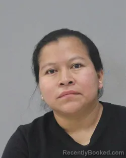 Mugshot of LILIANA PEREZ ESTEBAN