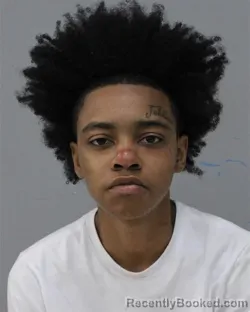 Mugshot of STARRASIA MARRIE WILLIAMS booked in Charles City County, Virginia on April 4, 2026