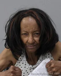 Mugshot of JANET WHITE booked in Charles City County, Virginia on April 4, 2026