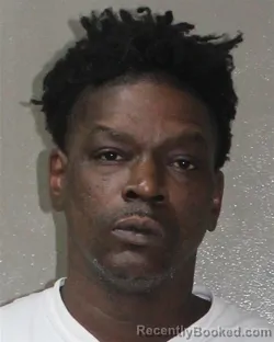 Mugshot of WAYNE L BROWN booked in Charles City County, Virginia on April 17, 2026