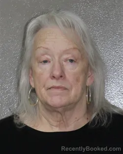 Mugshot of LINDA P MANIS booked in Charles City County, Virginia on May 15, 2026