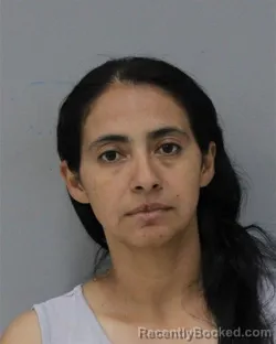 Mugshot of YURI DALVA MORAN ESTRADA booked in Charles City County, Virginia on April 18, 2026