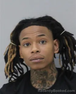Mugshot of KAMARI GOODWYN booked in Charles City County, Virginia on April 22, 2026