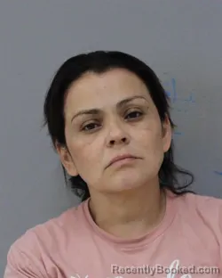 Mugshot of LOLIS MOYA-LOPEZ booked in Charles City County, Virginia on April 23, 2026