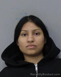 Mugshot of GRENULINE ELVIR SIERRA booked in Charles City County, Virginia on April 28, 2026