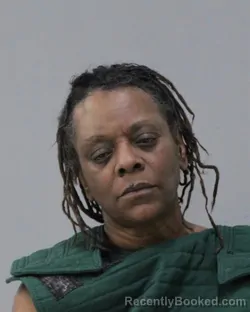 Mugshot of GAIL JOHNSON booked in Charles City County, Virginia on May 2, 2026