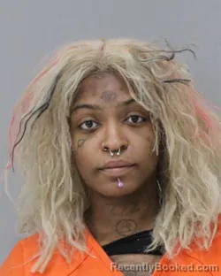 Mugshot of JAILAH MONAE SHEPPARD booked in Charles City County, Virginia on May 6, 2026