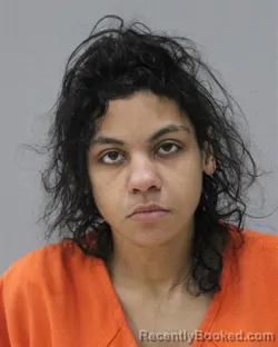 Mugshot of LEAH RAE ANDERSON booked in Charles City County, Virginia on May 9, 2026