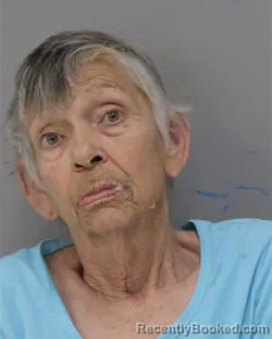 Mugshot of CAROLYN CHILDRESS CHEFF booked in Charles City County, Virginia on May 12, 2026