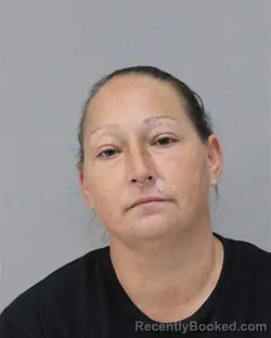 Mugshot of BRANDY DAVIS booked in Charles City County, Virginia on May 16, 2026