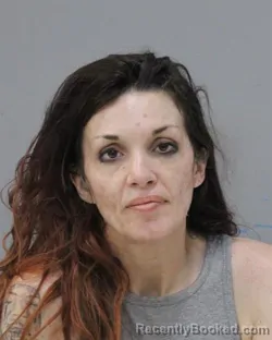 Mugshot of HOLLI DIANE RYDER booked in Charles City County, Virginia on June 5, 2026