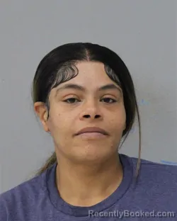 Mugshot of DANIELLE M MILTON booked in Charles City County, Virginia on June 5, 2026