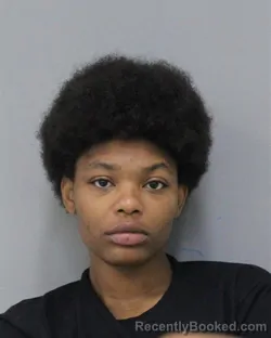 Mugshot of MICHELLE ARNISE AVENT booked in Charles City County, Virginia on June 8, 2026