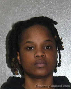 Mugshot of SHANTEL DEWIITT booked in Charles City County, Virginia on July 3, 2026