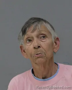 Mugshot of CAROLYN CHILDRESS CHEFF booked in Charles City County, Virginia on June 25, 2026