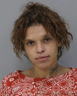 Mugshot of VERONICA LYNN GIBSON booked in Charles City County, Virginia on July 2, 2026