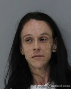 Mugshot of ASHLEY SCOTT WALKER booked in Charles City County, Virginia on July 3, 2026