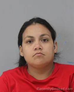 Mugshot of NURIAN ARRIAZA ALVAREZ booked in Charles City County, Virginia on July 4, 2026