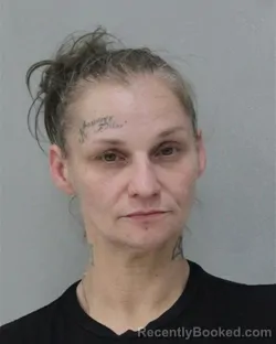 Mugshot of Kristina Marie Hedge booked in Charles City County, Virginia on August 26, 2026