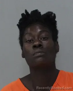 Mugshot of Shameeka Shaquan Hunter booked in Charles City County, Virginia on August 28, 2026