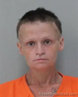 Mugshot of Taylor Danielle Lawson booked in Charles City County, Virginia on August 28, 2026