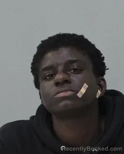 Mugshot of Dajahnay Lashay Brown booked in Charles City County, Virginia on August 30, 2026