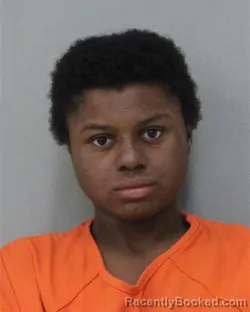 Mugshot of Meloney Lachelle Minter booked in Charles City County, Virginia on September 5, 2026
